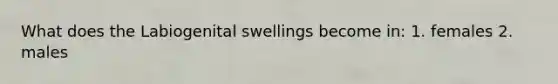 What does the Labiogenital swellings become in: 1. females 2. males