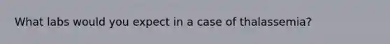 What labs would you expect in a case of thalassemia?