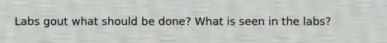 Labs gout what should be done? What is seen in the labs?