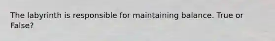 The labyrinth is responsible for maintaining balance. True or False?