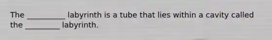 The __________ labyrinth is a tube that lies within a cavity called the _________ labyrinth.