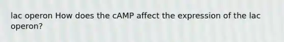 lac operon How does the cAMP affect the expression of the lac operon?