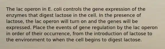 The lac operon in E. coli controls the gene expression of the enzymes that digest lactose in the cell. In the presence of lactose, the lac operon will turn on and the genes will be expressed. Place the events of gene regulation by the lac operon in order of their occurrence, from the introduction of lactose to the environment to when the cell begins to digest lactose.