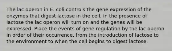 The lac operon in E. coli controls the gene expression of the enzymes that digest lactose in the cell. In the presence of lactose the lac operon will turn on and the genes will be expressed. Place the events of gene regulation by the lac operon in order of their occurrence, from the introduction of lactose to the environment to when the cell begins to digest lactose.