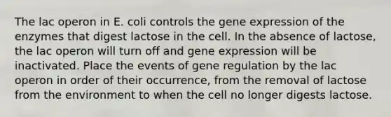 The lac operon in E. coli controls the gene expression of the enzymes that digest lactose in the cell. In the absence of lactose, the lac operon will turn off and gene expression will be inactivated. Place the events of gene regulation by the lac operon in order of their occurrence, from the removal of lactose from the environment to when the cell no longer digests lactose.