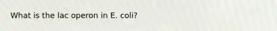 What is the lac operon in E. coli?