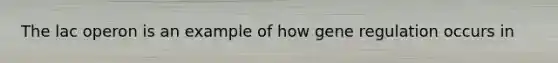 The lac operon is an example of how gene regulation occurs in