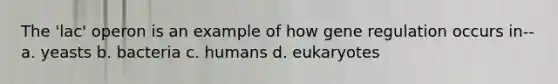 The 'lac' operon is an example of how gene regulation occurs in-- a. yeasts b. bacteria c. humans d. eukaryotes