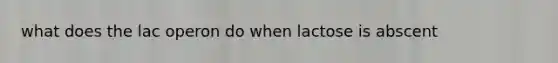 what does the lac operon do when lactose is abscent