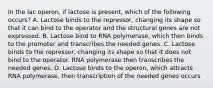 In the lac operon, if lactose is present, which of the following occurs? A. Lactose binds to the repressor, changing its shape so that it can bind to the operator and the structural genes are not expressed. B. Lactose bind to RNA polymerase, which then binds to the promoter and transcribes the needed genes. C. Lactose binds to the repressor, changing its shape so that it does not bind to the operator. RNA polymerase then transcribes the needed genes. D. Lactose binds to the operon, which attracts RNA polymerase, then transcription of the needed genes occurs