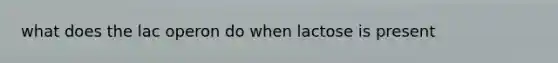 what does the lac operon do when lactose is present