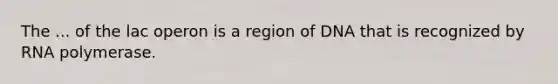 The ... of the lac operon is a region of DNA that is recognized by RNA polymerase.