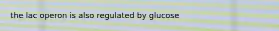 the lac operon is also regulated by glucose