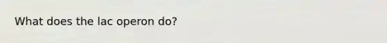 What does the lac operon do?