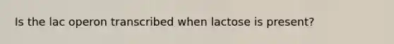 ​Is the lac operon transcribed when lactose is present?