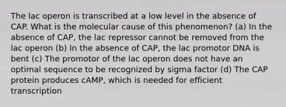 The lac operon is transcribed at a low level in the absence of CAP. What is the molecular cause of this phenomenon? (a) In the absence of CAP, the lac repressor cannot be removed from the lac operon (b) In the absence of CAP, the lac promotor DNA is bent (c) The promotor of the lac operon does not have an optimal sequence to be recognized by sigma factor (d) The CAP protein produces cAMP, which is needed for efficient transcription