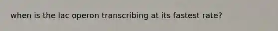 when is the lac operon transcribing at its fastest rate?