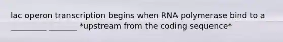 lac operon transcription begins when RNA polymerase bind to a _________ _______ *upstream from the coding sequence*