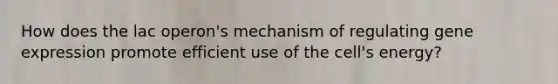 How does the lac operon's mechanism of regulating gene expression promote efficient use of the cell's energy?