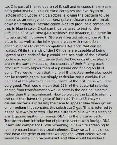 Lac Z is part of the lac operon of E. coli and encodes the enzyme beta galactosidase. This enzyme catalyzes the hydrolysis of lactose into glucose and galactose, allowing the bacteria to use lactose as an energy source. Beta galactosidase can also break down an artificial substrate called X-gal to produce a compound that is blue in color. X-gal can thus be used to test for the presence of active beta galactosidase. For instance, the gene for human growth hormone (hGH) was inserted into a plasmid. The plasmid, as well as the hGH gene are cut with restriction endonucleases to create compatible DNA ends that can be ligated. While the ends of the hGH gene are capable of being ligated to the ends of the plasmid, the two ends of the plasmid could also rejoin. In fact, given that the two ends of the plasmid are on the same molecule, the chances of their finding each other are much higher than of a plasmid end finding an hGH gene. This would mean that many of the ligated molecules would not be recombinants, but simply recircularized plasmids. Five percent of the plasmids having inserts of the hGH gene would be very good. That would mean that 95% of the bacterial colonies arising from transformation would contain the original plasmid rather than the recombinant. How do we use the LacZ to identify the cells that have the gene of interest? The LacZ enzyme causes bacteria expressing the gene to appear blue when grown on a medium that contains the substrate X-gal. This is referred to as the blue-white screen. The main steps of blue white screening are: Ligation: ligation of foreign DNA into the plasmid vector Transformation: introduction of plasmid vector with foreign DNA insert into competent E. coli Screening: blue-white screening to identify recombinant bacterial colonies. Okay so ... the colonies that have the gene of interest will appear...What color? White would be containing recombinant and Blue would be without.