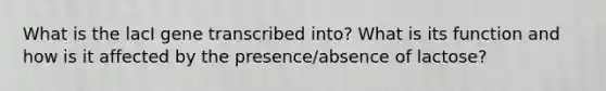 What is the lacI gene transcribed into? What is its function and how is it affected by the presence/absence of lactose?