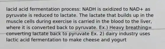 lacid acid fermentation process: NADH is oxidized to NAD+ as pyruvate is reduced to lactate. The lactate that builds up in the muscle cells during exercise is carried in <a href='https://www.questionai.com/knowledge/k7oXMfj7lk-the-blood' class='anchor-knowledge'>the blood</a> to the liver, where it is converted back to pyruvate. Ex.) Heavy breathing= converting lactate back to pyruvate Ex. 2) dairy industry uses lactic acid fermentation to make cheese and yogurt