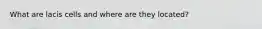 What are lacis cells and where are they located?