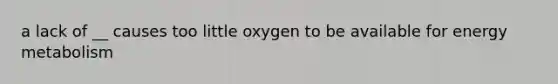 a lack of __ causes too little oxygen to be available for energy metabolism