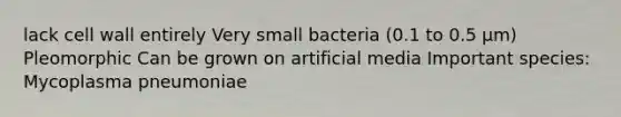 lack cell wall entirely Very small bacteria (0.1 to 0.5 µm) Pleomorphic Can be grown on artificial media Important species: Mycoplasma pneumoniae