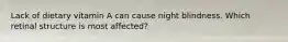 Lack of dietary vitamin A can cause night blindness. Which retinal structure is most affected?