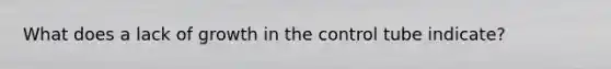 What does a lack of growth in the control tube indicate?