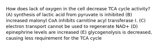 How does lack of oxygen in the cell decrease TCA cycle activity? (A) synthesis of lactic acid from pyruvate is inhibited (B) increased malonyl CoA inhibits carnitine acyl transferase I. (C) electron transport cannot be used to regenerate NAD+ (D) epinephrine levels are increased (E) glycogenolysis is decreased, causing less requirement for the TCA cycle