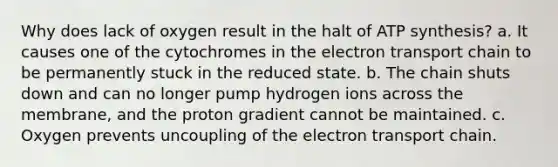 Why does lack of oxygen result in the halt of ATP synthesis? a. It causes one of the cytochromes in the electron transport chain to be permanently stuck in the reduced state. b. The chain shuts down and can no longer pump hydrogen ions across the membrane, and the proton gradient cannot be maintained. c. Oxygen prevents uncoupling of the electron transport chain.