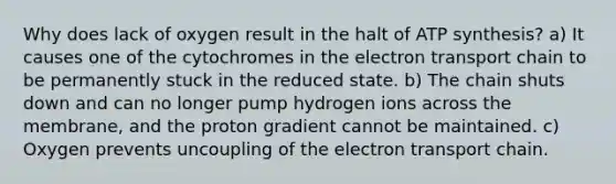 Why does lack of oxygen result in the halt of ATP synthesis? a) It causes one of the cytochromes in the electron transport chain to be permanently stuck in the reduced state. b) The chain shuts down and can no longer pump hydrogen ions across the membrane, and the proton gradient cannot be maintained. c) Oxygen prevents uncoupling of the electron transport chain.