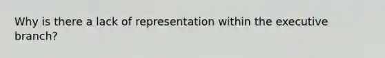 Why is there a lack of representation within the executive branch?