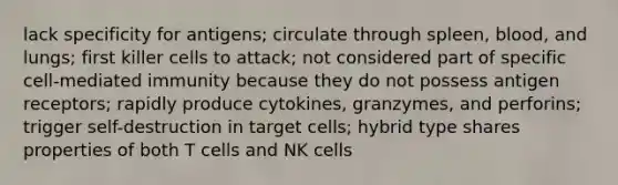 lack specificity for antigens; circulate through spleen, blood, and lungs; first killer cells to attack; not considered part of specific cell-mediated immunity because they do not possess antigen receptors; rapidly produce cytokines, granzymes, and perforins; trigger self-destruction in target cells; hybrid type shares properties of both T cells and NK cells