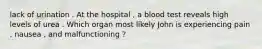 lack of urination . At the hospital , a blood test reveals high levels of urea . Which organ most likely John is experiencing pain , nausea , and malfunctioning ?