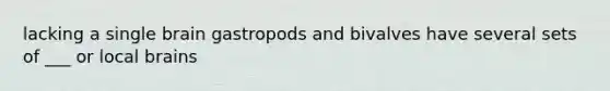 lacking a single brain gastropods and bivalves have several sets of ___ or local brains