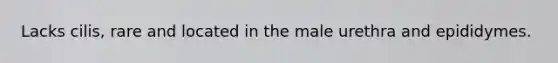 Lacks cilis, rare and located in the male urethra and epididymes.
