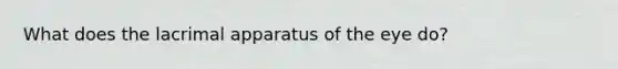 What does the lacrimal apparatus of the eye do?