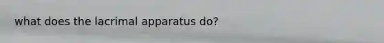 what does the lacrimal apparatus do?