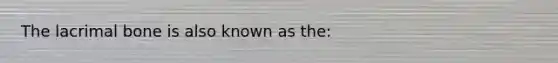 The lacrimal bone is also known as the: