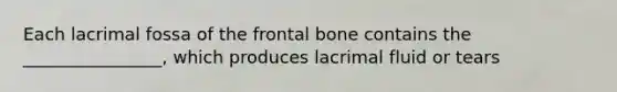 Each lacrimal fossa of the frontal bone contains the ________________, which produces lacrimal fluid or tears