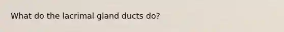 What do the lacrimal gland ducts do?