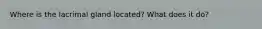 Where is the lacrimal gland located? What does it do?