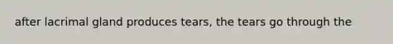 after lacrimal gland produces tears, the tears go through the