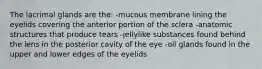 The lacrimal glands are the: -mucous membrane lining the eyelids covering the anterior portion of the sclera -anatomic structures that produce tears -jellylike substances found behind the lens in the posterior cavity of the eye -oil glands found in the upper and lower edges of the eyelids