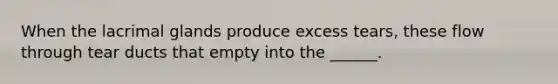 When the lacrimal glands produce excess tears, these flow through tear ducts that empty into the ______.
