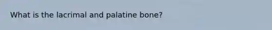 What is the lacrimal and palatine bone?