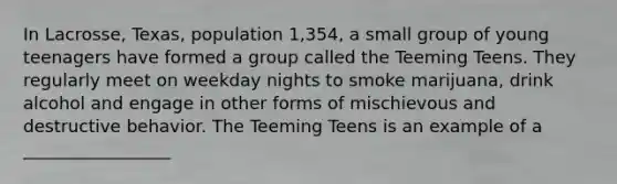 In Lacrosse, Texas, population 1,354, a small group of young teenagers have formed a group called the Teeming Teens. They regularly meet on weekday nights to smoke marijuana, drink alcohol and engage in other forms of mischievous and destructive behavior. The Teeming Teens is an example of a _________________